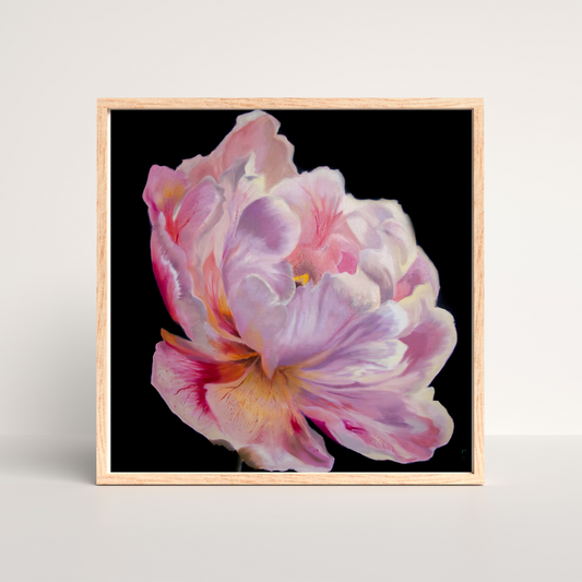 Original Peony Flower Painting | 16x16 Floral Oil Painting on Canvas | Botanical Fine Art